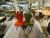 4x CHAISE DESIGN CHALITA
